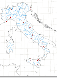 Chiavi di identificazione degli Zygaenidae d''Italia